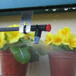 Access Classic Freestanding Eltham D -Boo Greenhouses Shop ACCELTD6