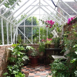 Elite Thyme 6'3" Wide Greenhouse For Dwarf Wall -Boo Greenhouses Shop ETM6DW3