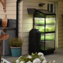 Sprout S10 Smart Mini Greenhouse -Boo Greenhouses Shop HASP10GH4