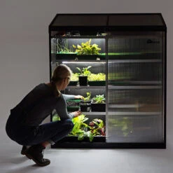 Sprout S24 Smart Mini Greenhouse -Boo Greenhouses Shop HASP242