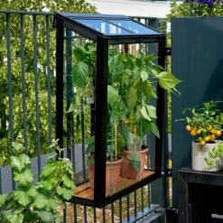 Juliana Balcony Greenhouse -Boo Greenhouses Shop JUBALCONY6