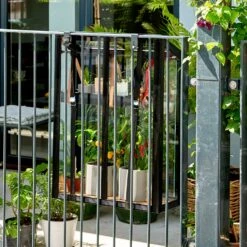 Juliana Balcony Greenhouse -Boo Greenhouses Shop JUBALCONY9