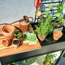 Juliana Vertical Greenhouse -Boo Greenhouses Shop JUVERTICAL14