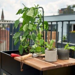 Juliana Vertical Greenhouse -Boo Greenhouses Shop JUVERTICAL2