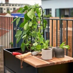 Juliana Vertical Greenhouse -Boo Greenhouses Shop JUVERTICAL3