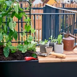 Juliana Vertical Greenhouse -Boo Greenhouses Shop JUVERTICAL5