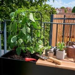 Juliana Vertical Greenhouse -Boo Greenhouses Shop JUVERTICAL8