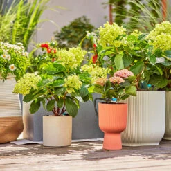 Gardena Micro Drip Irrigation Drip Starter Set -Boo Greenhouses Shop LDMDISK12