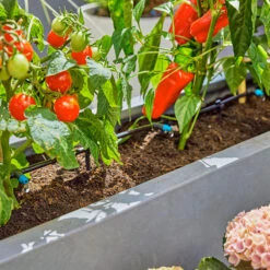 Gardena Micro Drip Irrigation Drip Starter Set -Boo Greenhouses Shop LDMDISK4