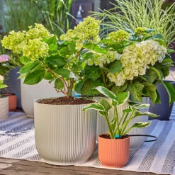 Gardena Micro Drip Irrigation Drip Starter Set -Boo Greenhouses Shop LDMDISK8