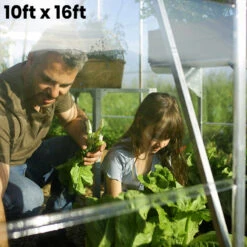 Palram Canopia Balance 10ft Wide Greenhouse -Boo Greenhouses Shop PRBA1024