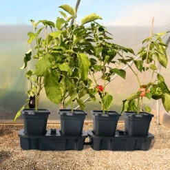 Quadgrow Planter -Boo Greenhouses Shop QGP12