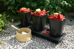 Triplegrow Planter Chillegrow -Boo Greenhouses Shop gstgp14