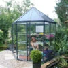 Palram Canopia Oasis Hexagonal 8ft Greenhouse -Boo Greenhouses Shop image 107647 ee33406e 8c1d 451d bb19 5383be6300a2