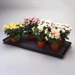 Self Watering Trays -Boo Greenhouses Shop image 135950