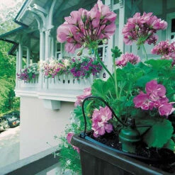 Tropf Blumat Mains Kit - Fitting To 19mm Threaded Tap -Boo Greenhouses Shop image 139452