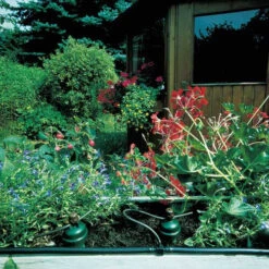 Tropf Blumat Mains Kit - Fitting To 19mm Threaded Tap -Boo Greenhouses Shop image 139455