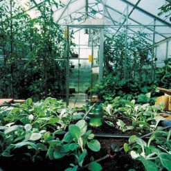 Tropf Blumat Tank Kit -Boo Greenhouses Shop image 139458