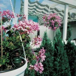 Tropf Blumat Tank Kit -Boo Greenhouses Shop image 139461