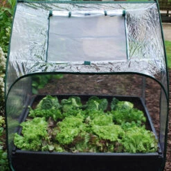 Large Raised Bed With Pop Up Mini Greenhouse -Boo Greenhouses Shop image 139577