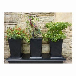 Triplegrow Planter Chillegrow -Boo Greenhouses Shop image 83433