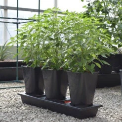 Triplegrow Planter Chillegrow -Boo Greenhouses Shop image 83438