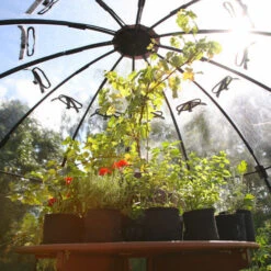 Sunbubble -Boo Greenhouses Shop pgsun3