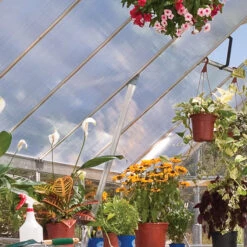 Palram Canopia Balance 8x12 Greenhouse -Boo Greenhouses Shop prbal8124