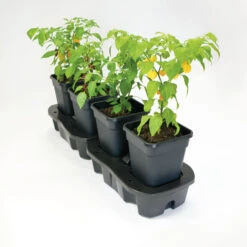 Quadgrow Planter -Boo Greenhouses Shop qgp2 1 2