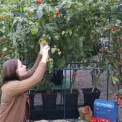 Quadgrow Planter -Boo Greenhouses Shop qgp8 3