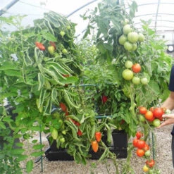 Quadgrow Planter -Boo Greenhouses Shop qgp9 3